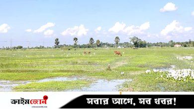 বন্যা-বৃষ্টির সময় বদল, বিপাকে কৃষকেরা
