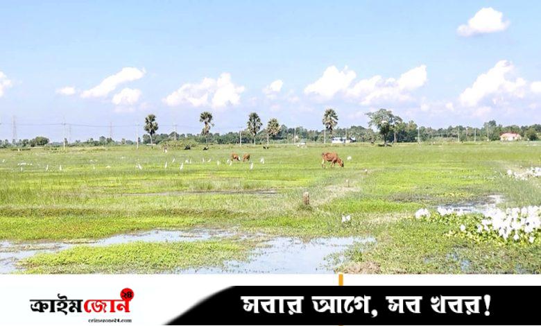 বন্যা-বৃষ্টির সময় বদল, বিপাকে কৃষকেরা