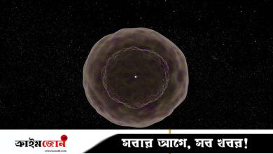 বিরল সুপারনোভা পর্যবেক্ষণে জানা গেল নক্ষত্রের ভেতরের গঠন