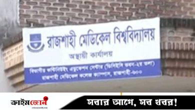রামেবির গাছ লুটের অভিযোগ, অস্বীকার ঠিকাদারি প্রতিষ্ঠানের