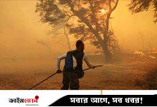 একসঙ্গে আরবের পাঁচ দেশে দাবানল