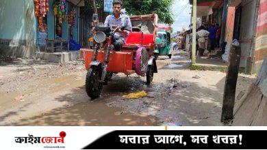বীরশ্রেষ্ঠ মতিউর নগর সড়কের বেহাল দশা, ভোগান্তি