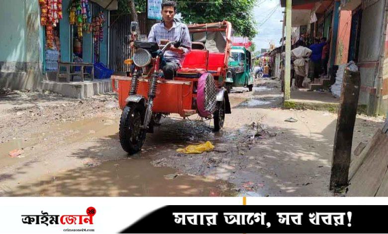 বীরশ্রেষ্ঠ মতিউর নগর সড়কের বেহাল দশা, ভোগান্তি