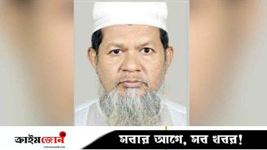 ইউনিয়ন বিএনপির সাধারণ সম্পাদক হলেন উপদেষ্টা মাহফুজের বাবা
