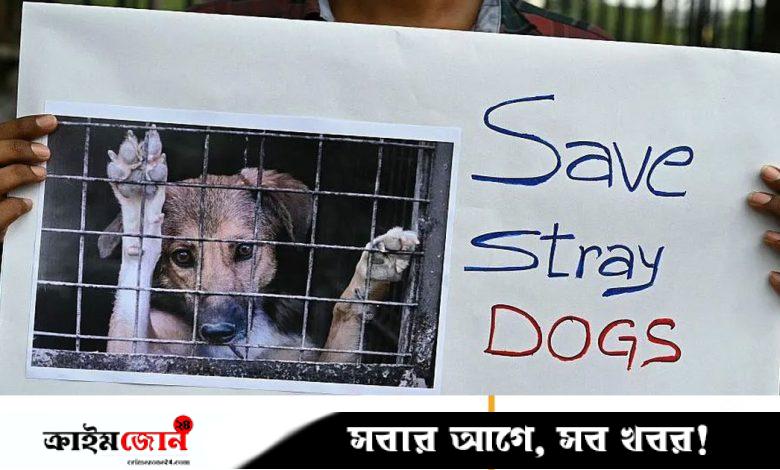 নেড়ি কুকুর নিয়ে সিদ্ধান্ত বদলালেন ভারতের সুপ্রিম কোর্ট