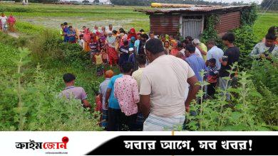 জমিতে উপুড় হয়ে পড়ে ছিল নারীর মরদেহ