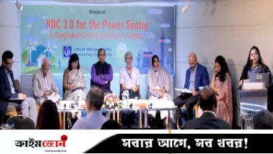 বিদ্যুৎ ও জ্বালানির সুনির্দিষ্ট নীতিমালার দাবি সিপিডির