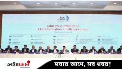 ৩-৫ বছর পেছানোর দাবি ব্যবসায়ীদের