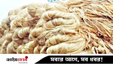 সংকট, নিষেধাজ্ঞা ও টিকে থাকার যুদ্ধ