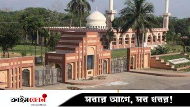 নিরাপত্তায় থাকবে সেনাবাহিনী-বিজিবি