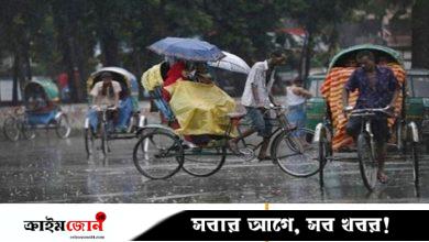 ঢাকায় হালকা বৃষ্টি হতে পারে, গরম কমবে কি