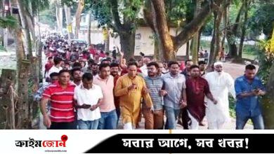 ফজলুর রহমানের বিরুদ্ধে ষড়যন্ত্রের প্রতিবাদে অষ্টগ্রামে বিক্ষোভ