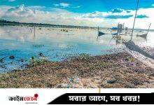 বিল ভরাট, মাছ কমে যাওয়া ও বর্জ্যে দূষণ