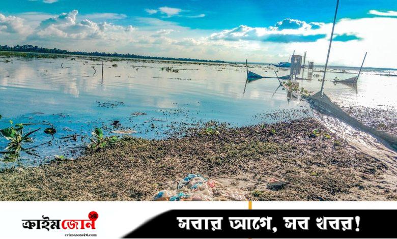 বিল ভরাট, মাছ কমে যাওয়া ও বর্জ্যে দূষণ