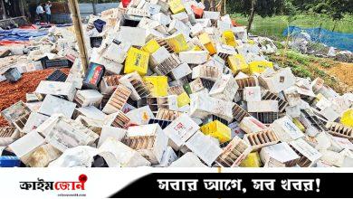 সিসায় অসুস্থ মানুষ, বিবর্ণ গাছ