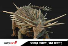 ‘ট্যাংকের মতো’ দেখতে অদ্ভুত ডাইনোসরের জীবাশ্ম পাওয়া গেল মরক্কোয়