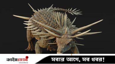 ‘ট্যাংকের মতো’ দেখতে অদ্ভুত ডাইনোসরের জীবাশ্ম পাওয়া গেল মরক্কোয়