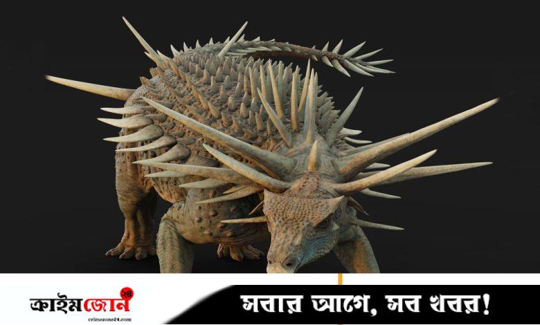 ‘ট্যাংকের মতো’ দেখতে অদ্ভুত ডাইনোসরের জীবাশ্ম পাওয়া গেল মরক্কোয়