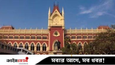 বাংলাদেশে পুশইন করা আমিরের বিষয়ে সরকারের প্রতিবেদন চাইল কলকাতা হাইকোর্ট