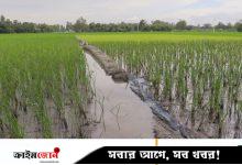 অবৈধ জালে বিলুপ্তির পথে দেশি মাছ
