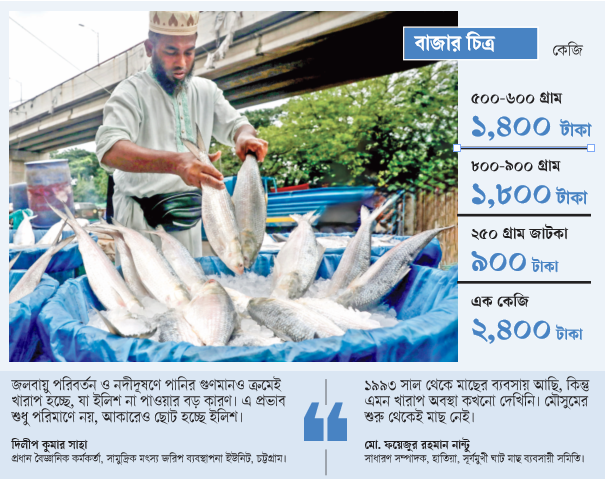 Elish fish chart