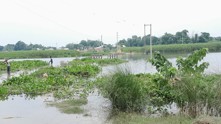 বন্যার পানিতে ডুবে যাওয়া চর সোনাতলা গ্রামের রাস্তা। ছবি: আজকের পত্রিকা