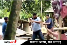 প্রবাসীর জমি দখলে বাধা দেওয়ায় স্ত্রীকে মারধর, হামলাকারীরা বিএনপির সঙ্গে যুক্ত