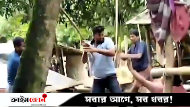 প্রবাসীর জমি দখলে বাধা দেওয়ায় স্ত্রীকে মারধর, হামলাকারীরা বিএনপির সঙ্গে যুক্ত