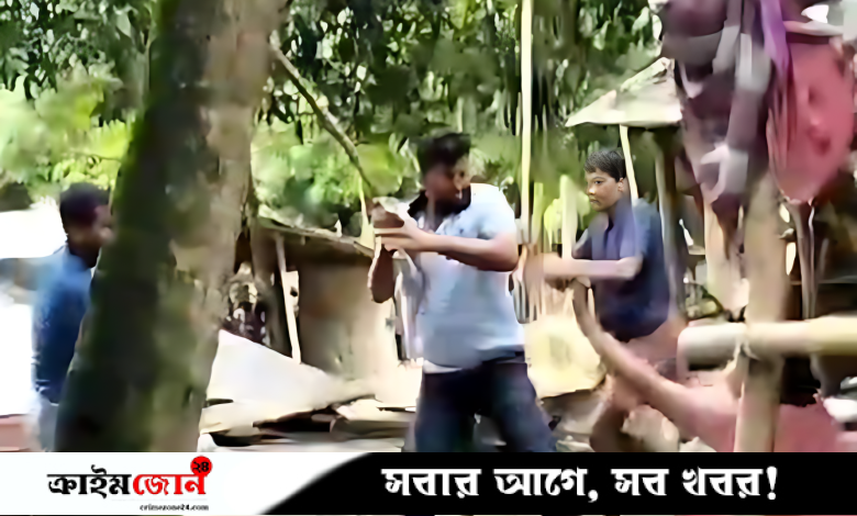 প্রবাসীর জমি দখলে বাধা দেওয়ায় স্ত্রীকে মারধর, হামলাকারীরা বিএনপির সঙ্গে যুক্ত