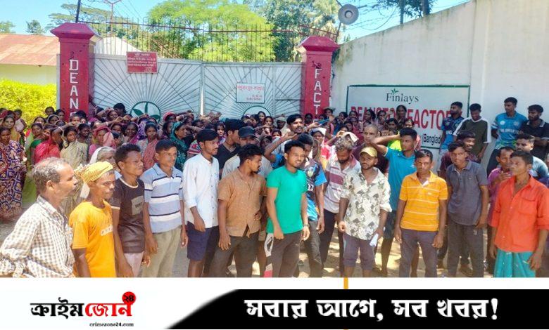 শ্রীমঙ্গলে অস্থায়ী চা-শ্রমিকদের মজুরি কম দেওয়ার প্রতিবাদে সমাবেশ