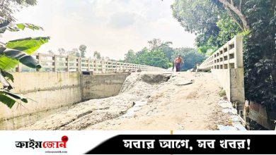 সেতু আছে, সড়ক নেই