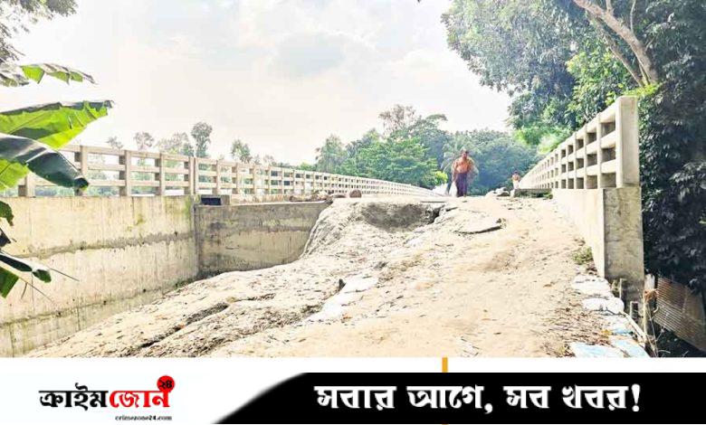 সেতু আছে, সড়ক নেই