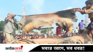 চামড়াশিল্পে ডিউটি ড্রব্যাক ফেরানোর দাবি বিটিএর