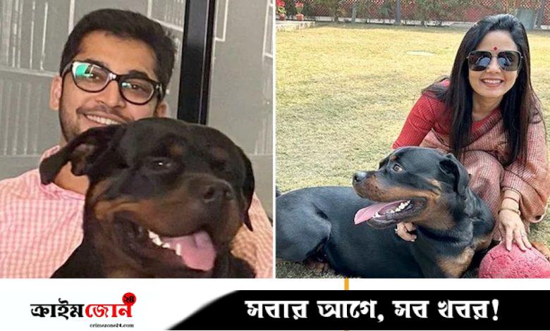 কুকুরের হেফাজত নিয়ে মহুয়া মৈত্রের মুখোমুখি সাবেক পার্টনার, দুজনকে বসতে বললেন আদালত