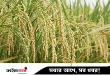 মিলমালিকদের শুল্ক পুনরায় আরোপের দাবি ও বাজার সংকটের আশঙ্কা