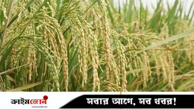 মিলমালিকদের শুল্ক পুনরায় আরোপের দাবি ও বাজার সংকটের আশঙ্কা