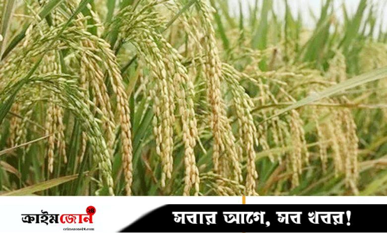মিলমালিকদের শুল্ক পুনরায় আরোপের দাবি ও বাজার সংকটের আশঙ্কা