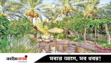 হাইলের গ্রামীণ পর্যটন প্রকৃতি, শান্তি আর ঐতিহ্যের অনন্য মেলবন্ধন