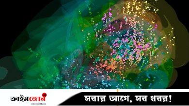 সিদ্ধান্ত নেওয়ার সময় সক্রিয় হয় পুরো মস্তিষ্ক, দেখা গেল নতুন মানচিত্রে