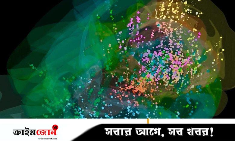 সিদ্ধান্ত নেওয়ার সময় সক্রিয় হয় পুরো মস্তিষ্ক, দেখা গেল নতুন মানচিত্রে
