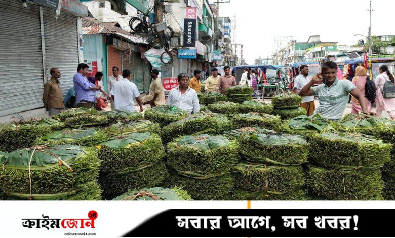 ন্যায্য দাম পাচ্ছেন না ভোলার পানচাষিরা