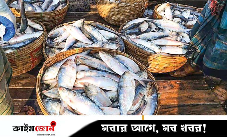 ইলিশের দামে ক্রেতার আক্ষেপ