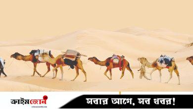 হিলফুল ফুজুল: অশান্ত সমাজে শান্তির অঙ্গীকার