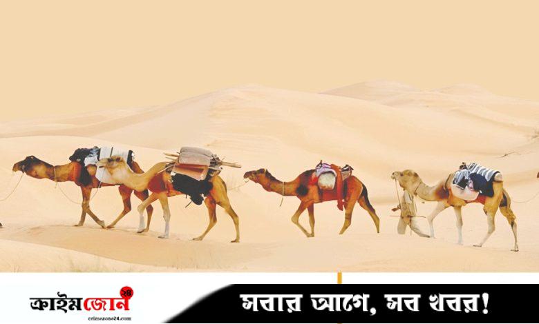 হিলফুল ফুজুল: অশান্ত সমাজে শান্তির অঙ্গীকার