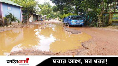 ৮ কিলোমিটার সড়কে শত শত গর্ত, চলাচলে ভোগান্তি