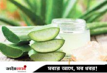 শরৎকালে অ্যালোভেরা ব্যবহারের উপায়