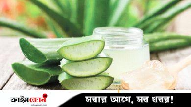 শরৎকালে অ্যালোভেরা ব্যবহারের উপায়