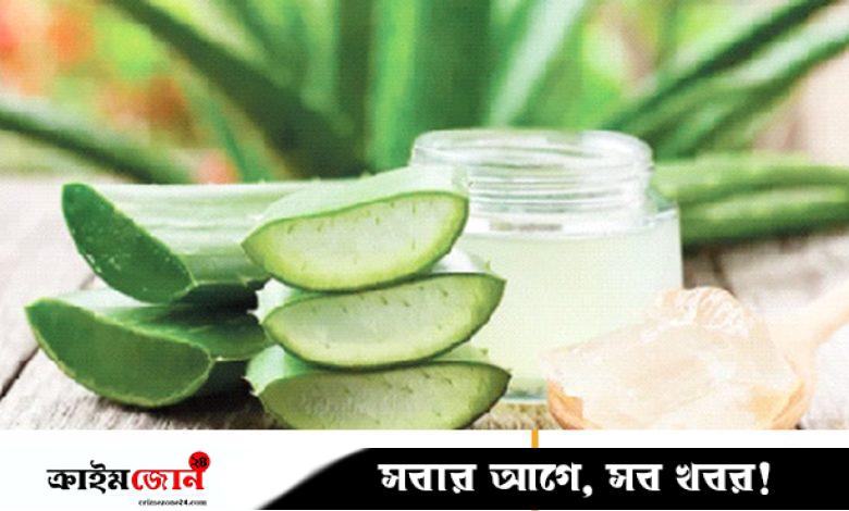 শরৎকালে অ্যালোভেরা ব্যবহারের উপায়