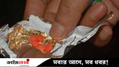 বরিশালে মাদক উদ্ধারের অভিযানে ১৫ হাজার পিস ইয়াবা গায়েব