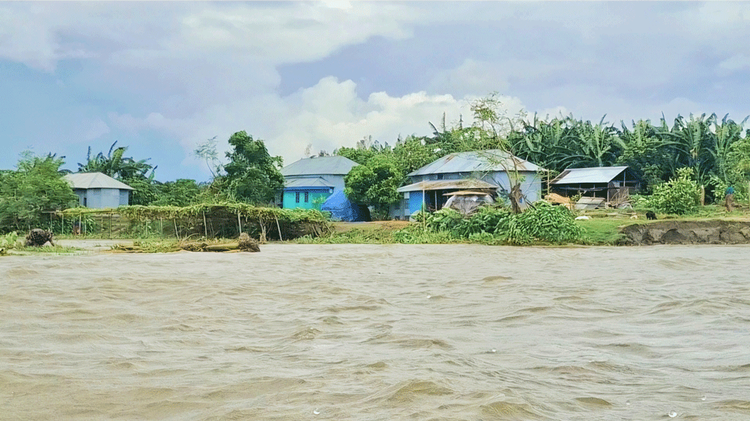 যমুনার ভাঙনে বিলীন চর বাঘুটিয়া